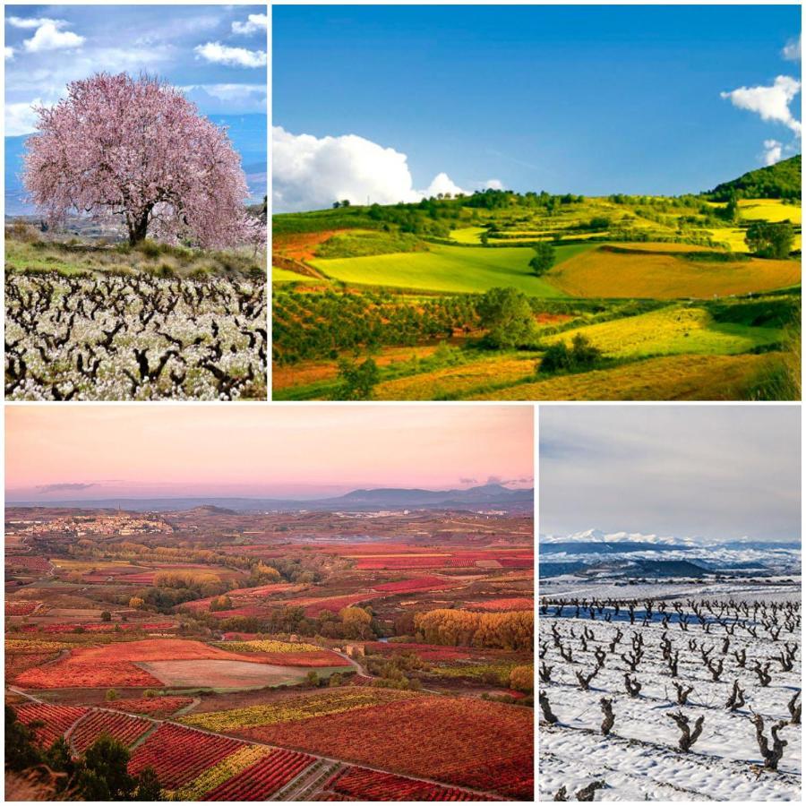 Marques De La Rioja Lägenhet Logroño Exteriör bild